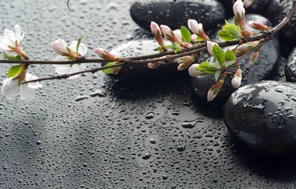 Flowers and pebbles in water