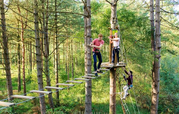 High ropes at Go Ape 