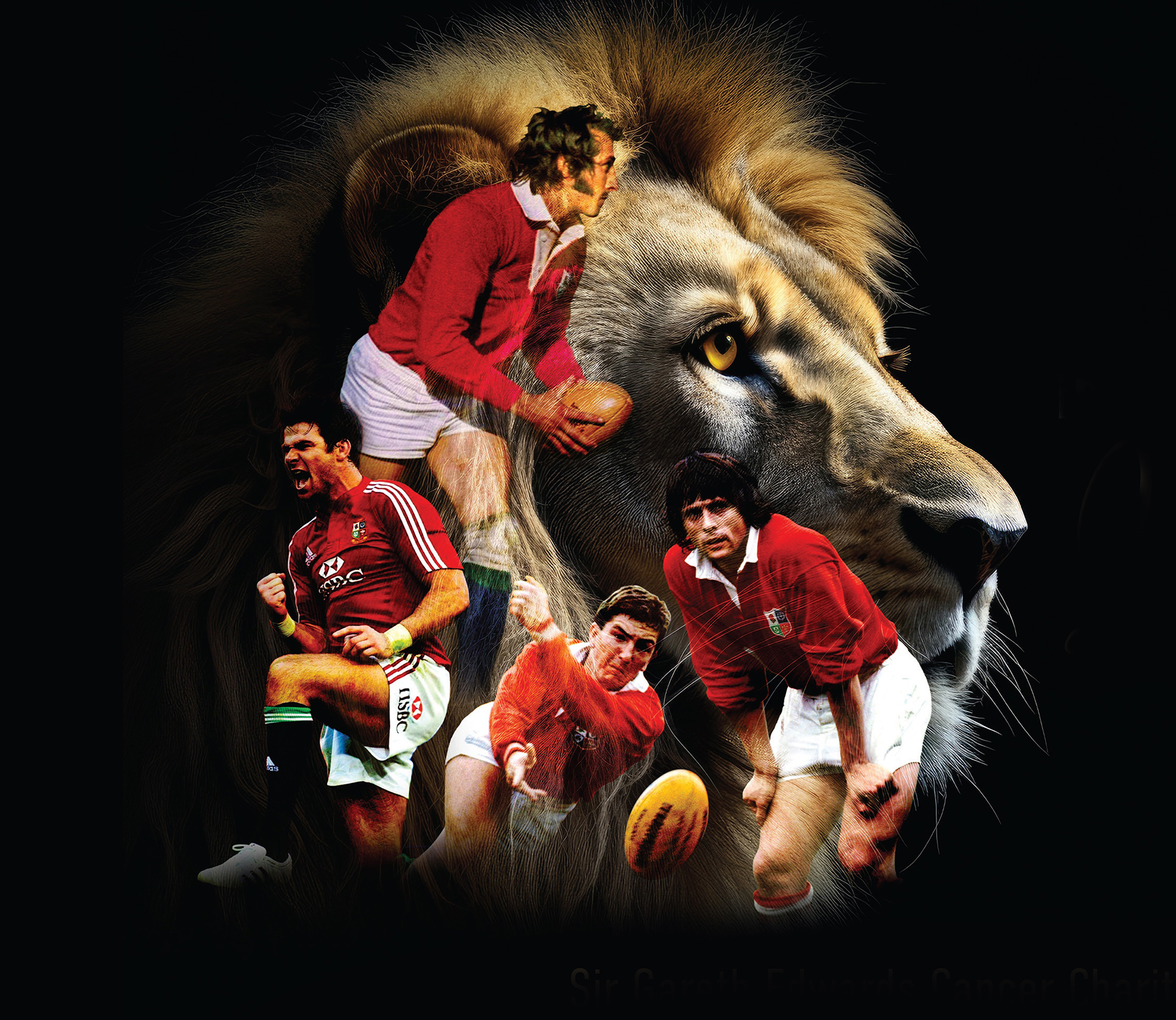 A montage of rugby players in red jerseys against a backdrop of a lion's face.