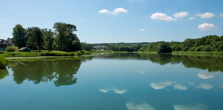 A calm lake with trees and greenery along the shore, blue sky, and clouds reflected in the water.